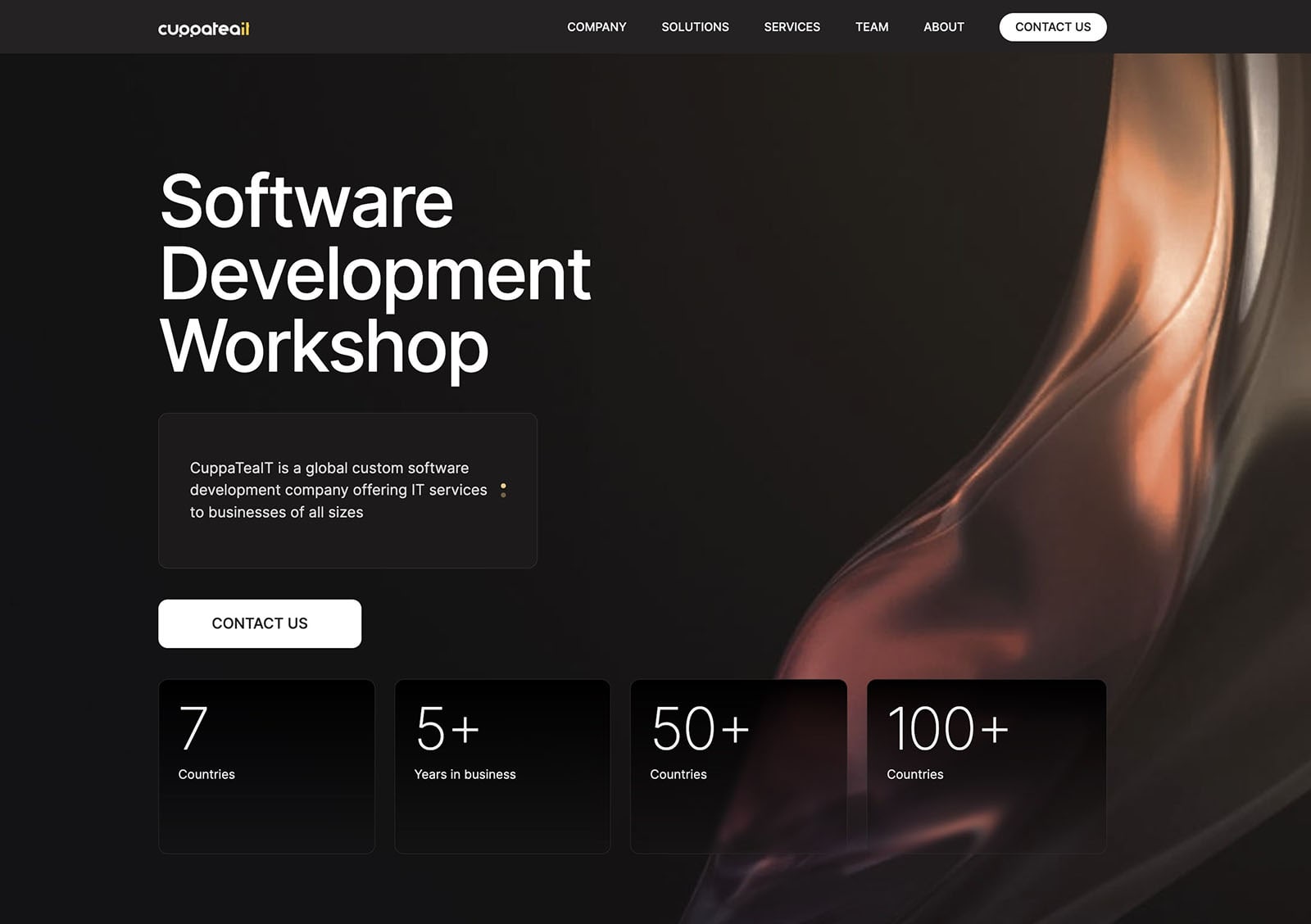 The website for software development company